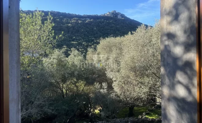 Exclusivité : vente de maison / villa de caractère en pierre à Figari, Porto-Vecchio, GTI Immobilier